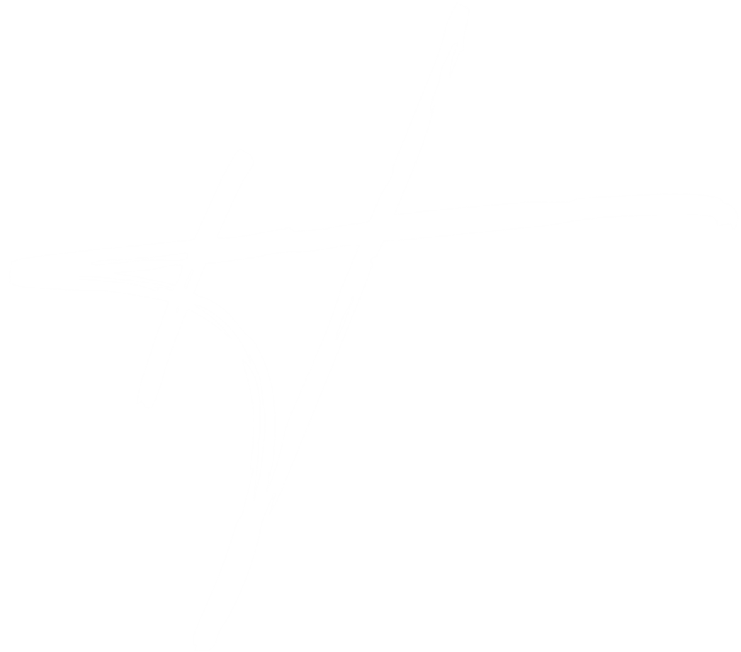 Hashim Riaz logo